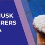 Psyllium Husk Manufacturers in India