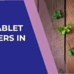 Best Amla Tablet Manufacturers in India