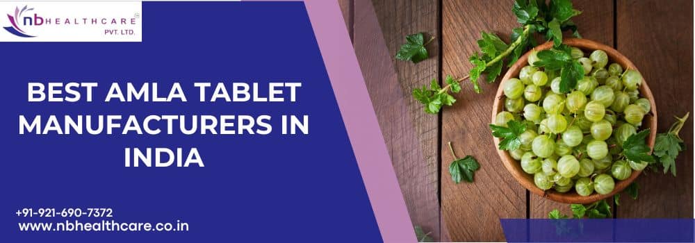Best Amla Tablet Manufacturers in India